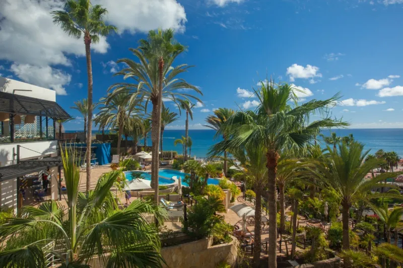 Tropical garden with palm trees and a pool overlooking the sea